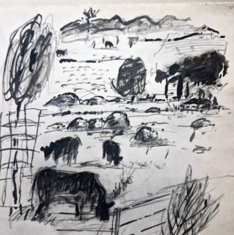 "Border Districts - 01102024-3", Pencil on Paper 28 x 23.5cm